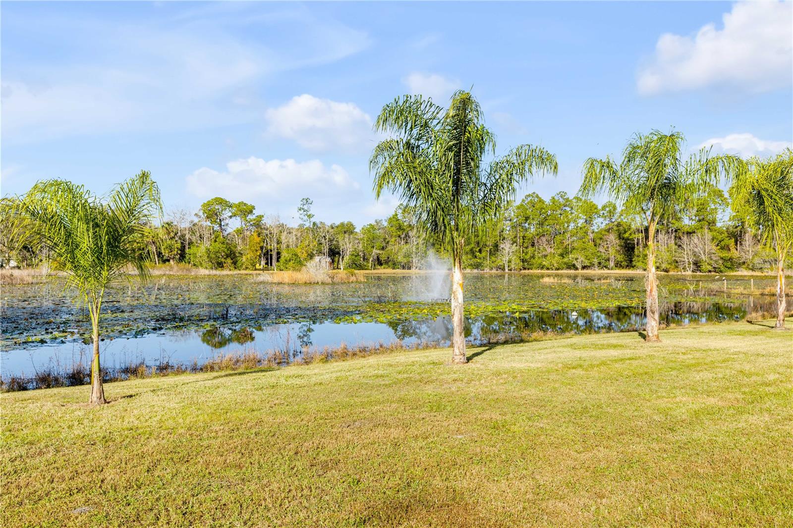 420 Roberts, Pierson, FL 32180