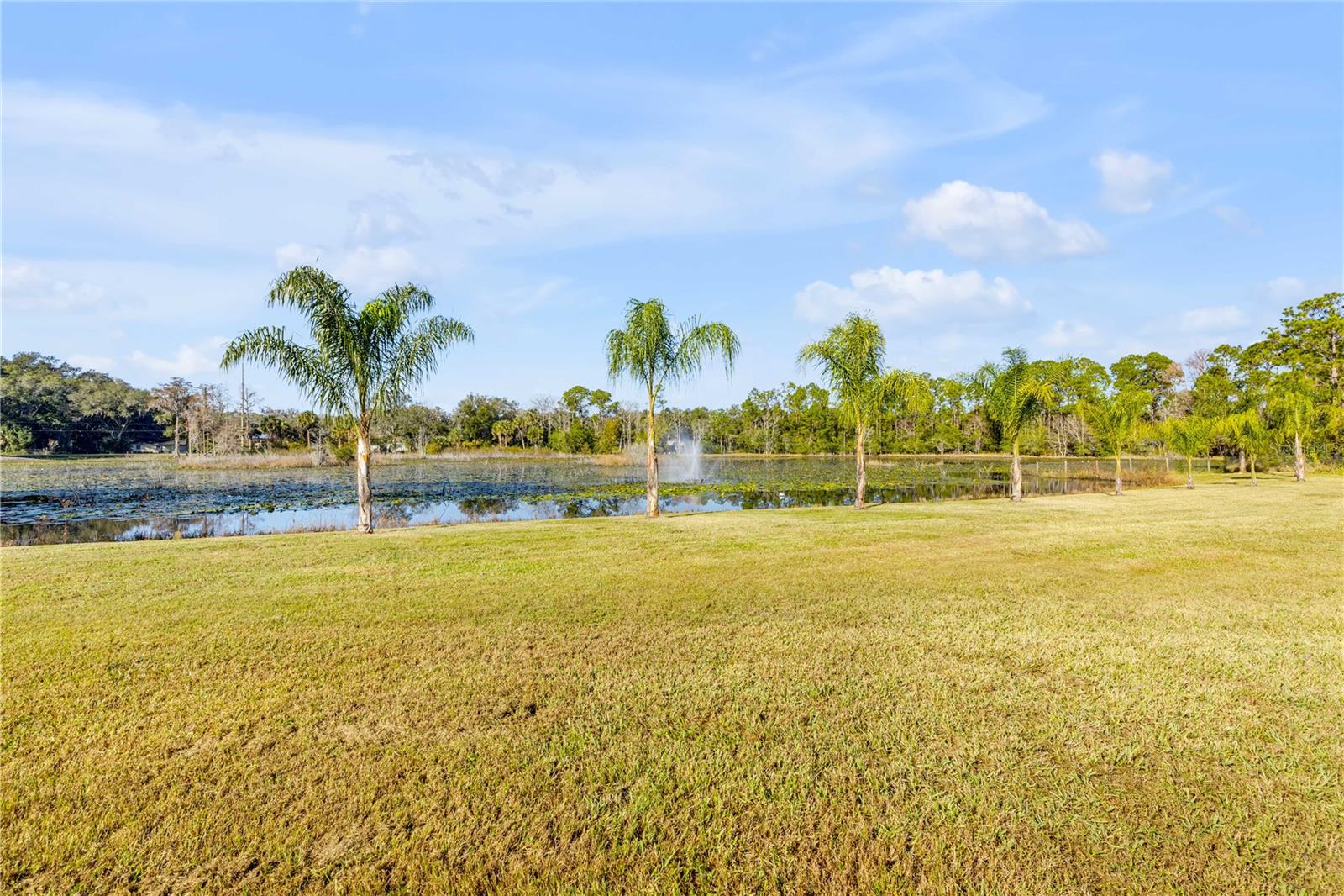 420 Roberts, Pierson, FL 32180