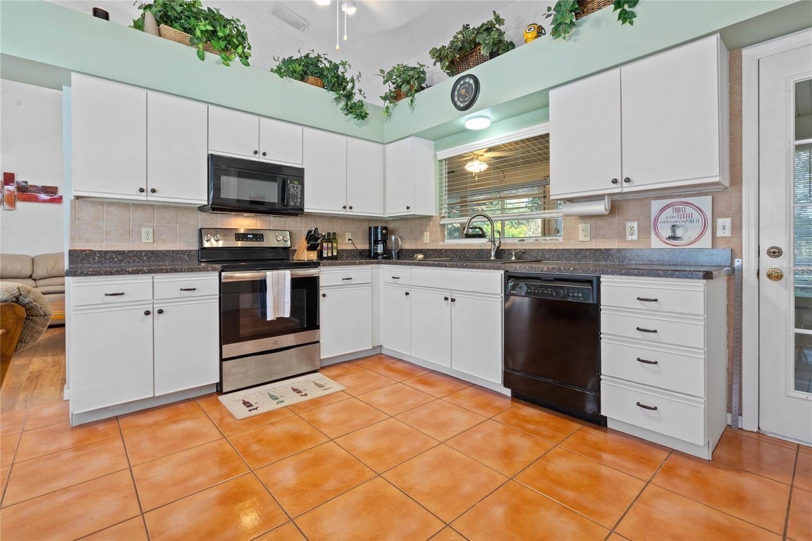 25300 Hibiscus, Leesburg, FL 34748