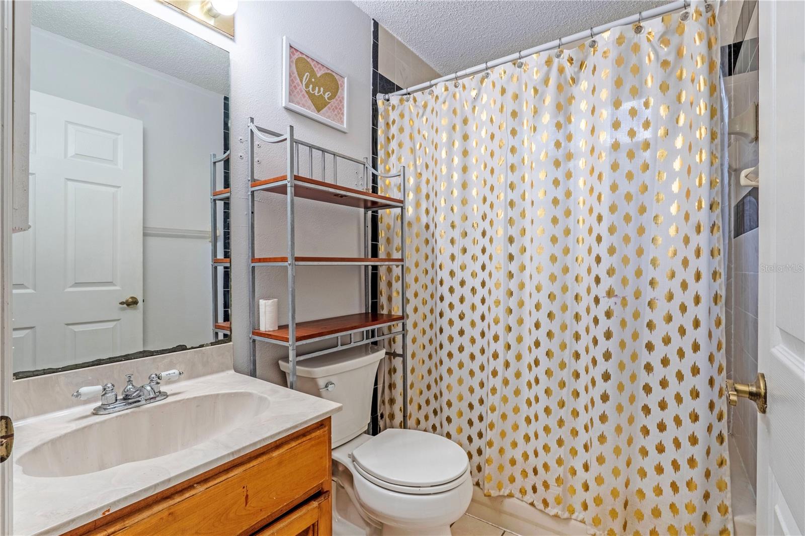 425 Black Ironwood, Deland, FL 32724