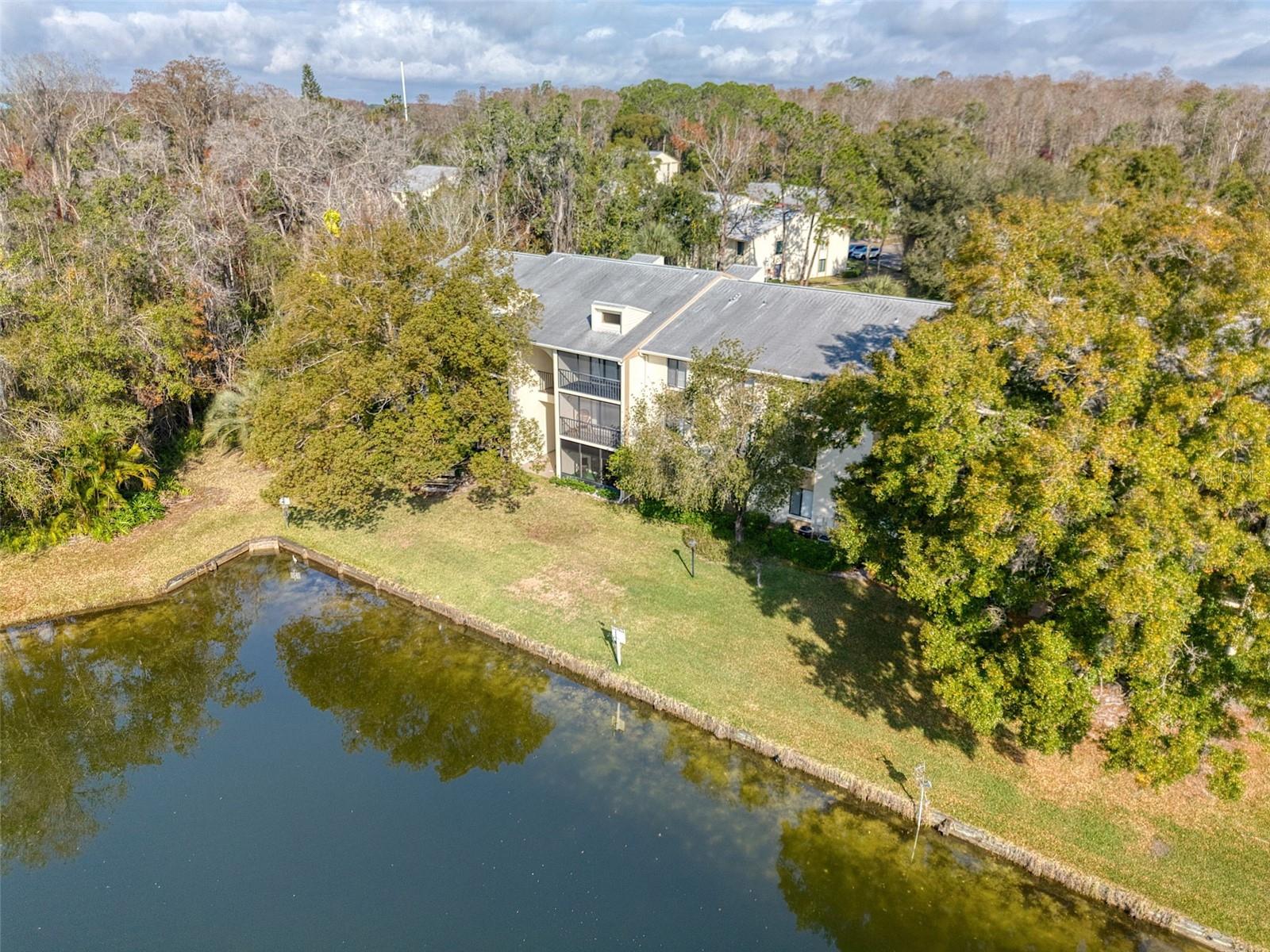3134 Lake Pine Unit G2, Tarpon Springs, FL 34688