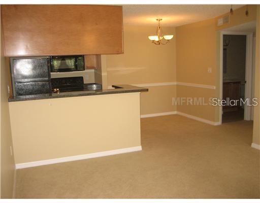 215 Lake Brook Unit 204, Brandon, FL 33511