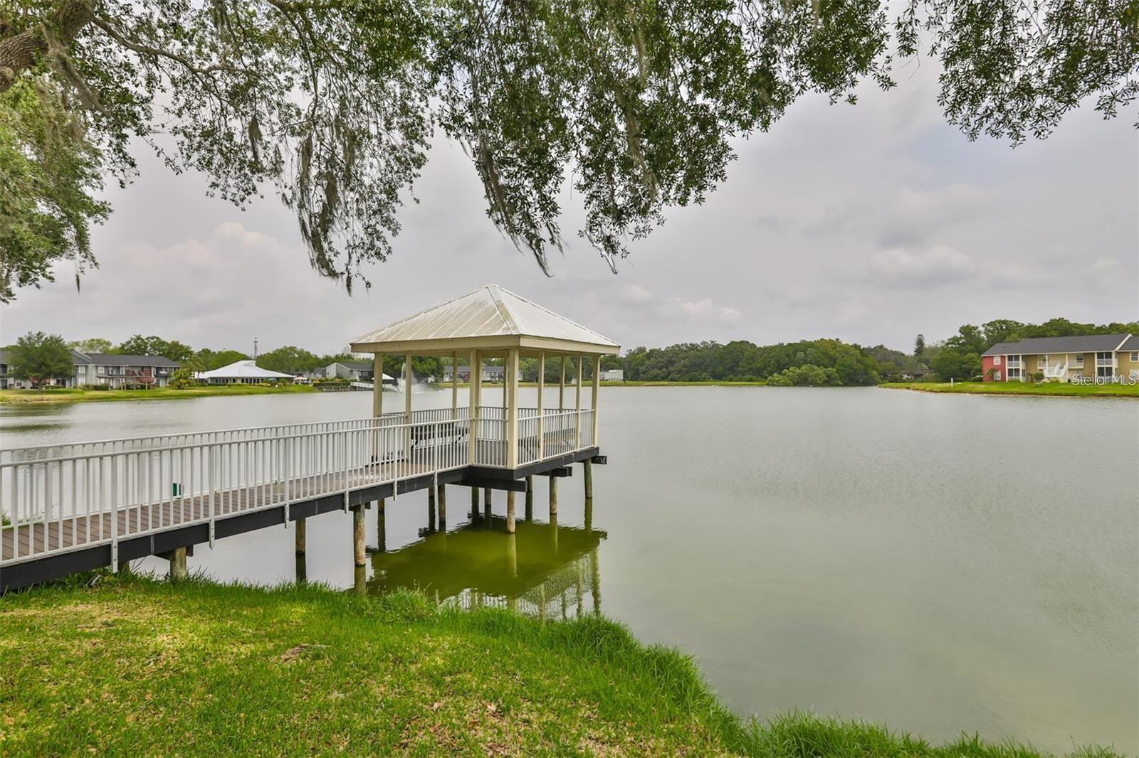 215 Lake Brook Unit 204, Brandon, FL 33511