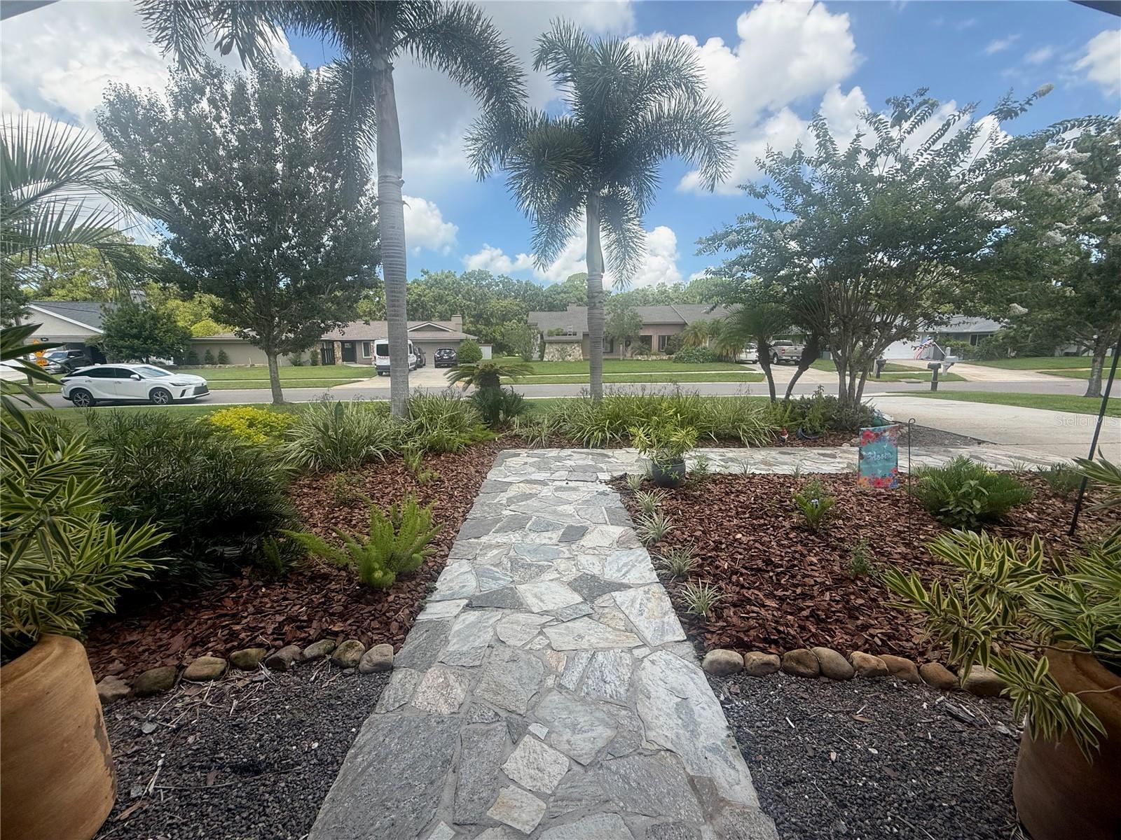 2215 Toniwood, Palm Harbor, FL 34685