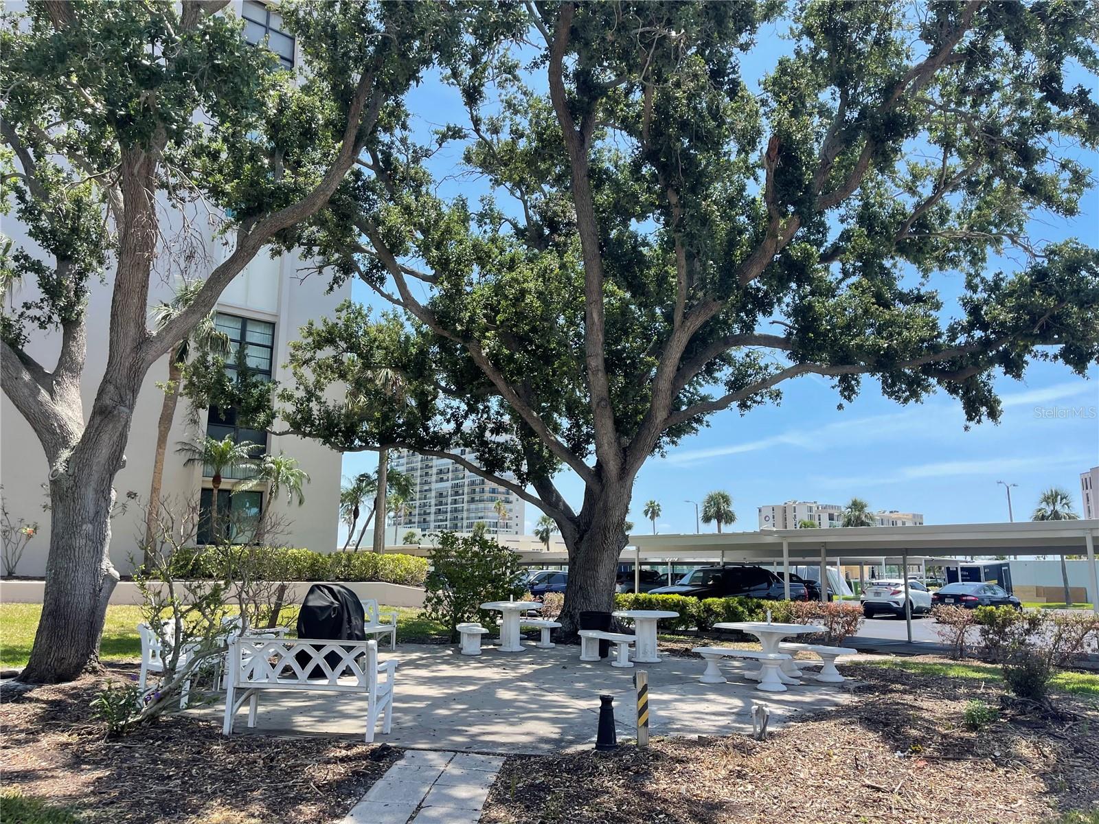7910 Sun Island Unit 203, South Pasadena, FL 33707