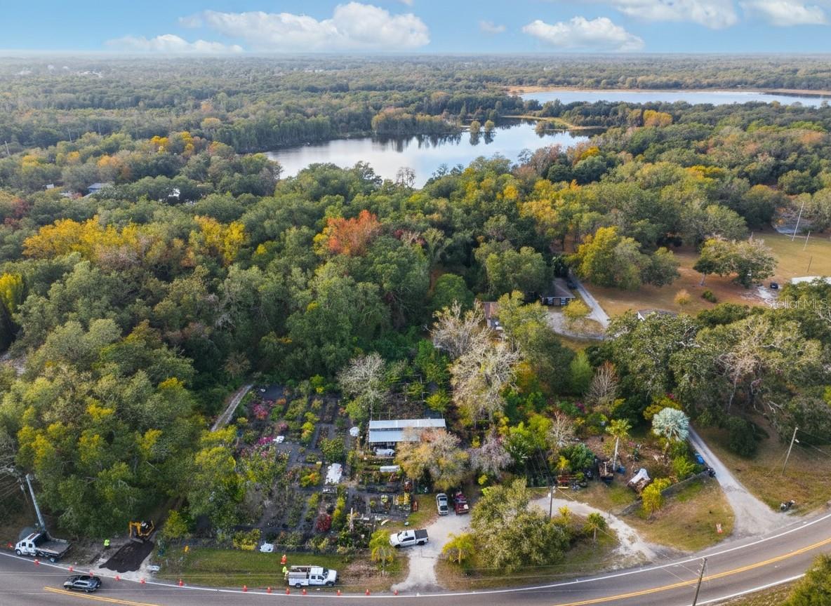 9906 Gunn, Odessa, FL 33556