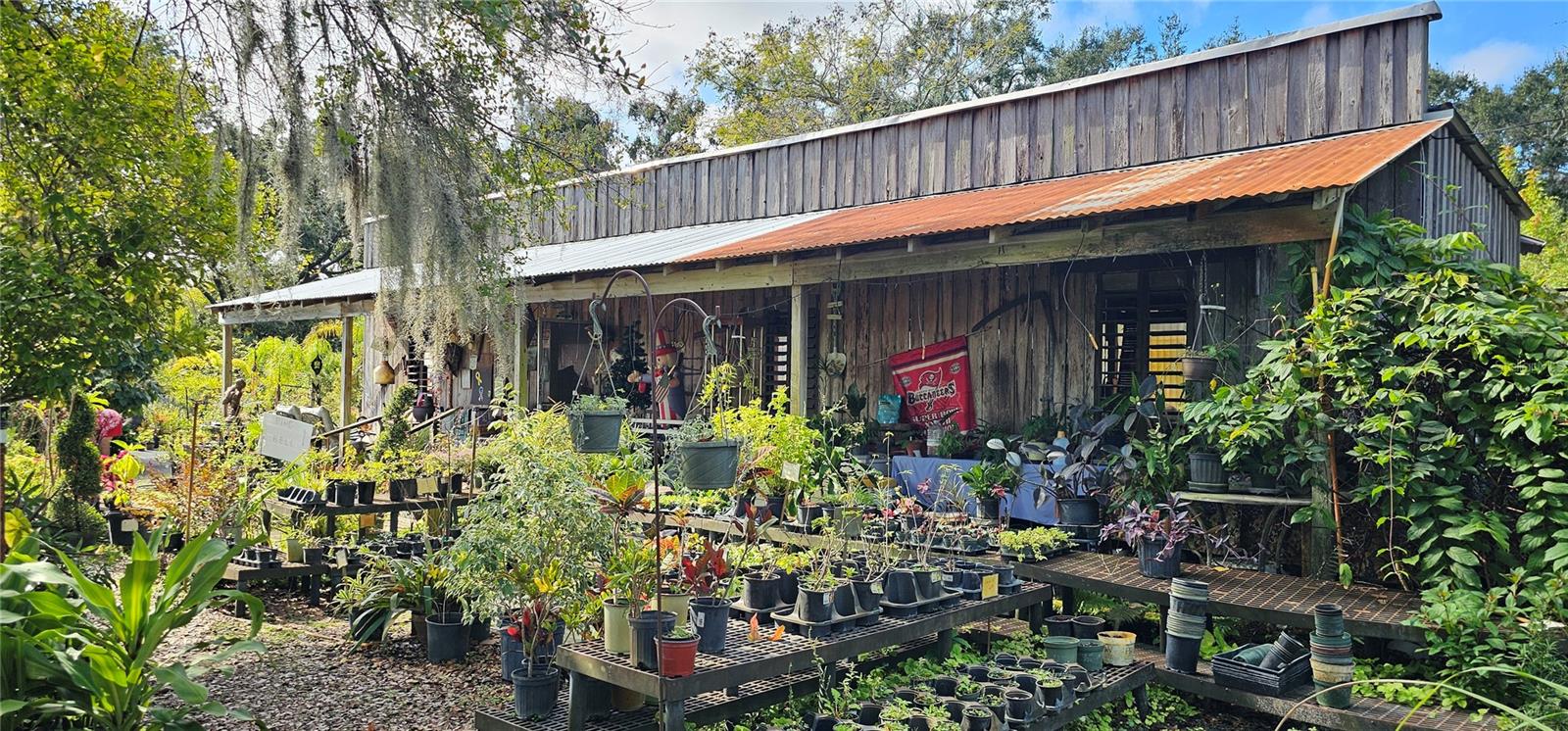 9906 Gunn, Odessa, FL 33556