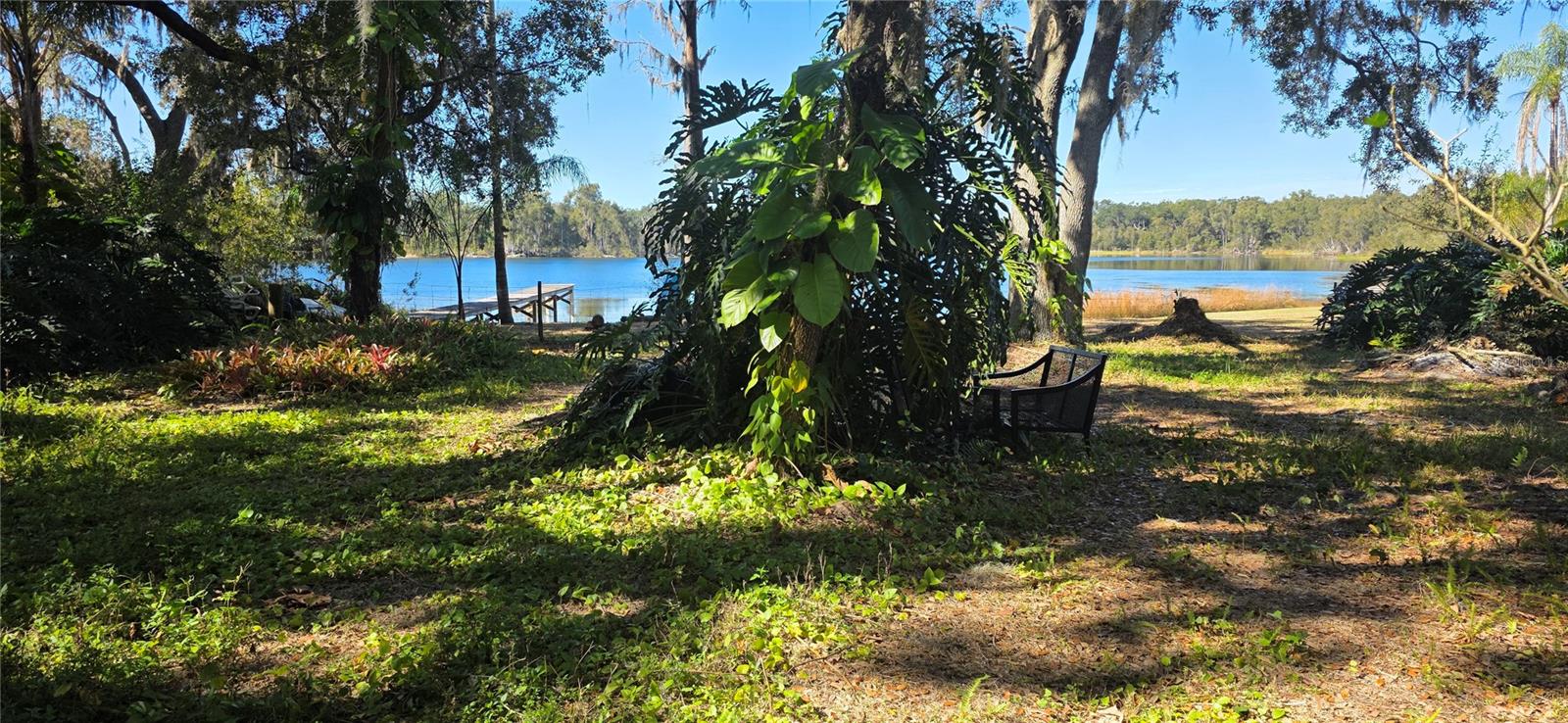 9906 Gunn, Odessa, FL 33556