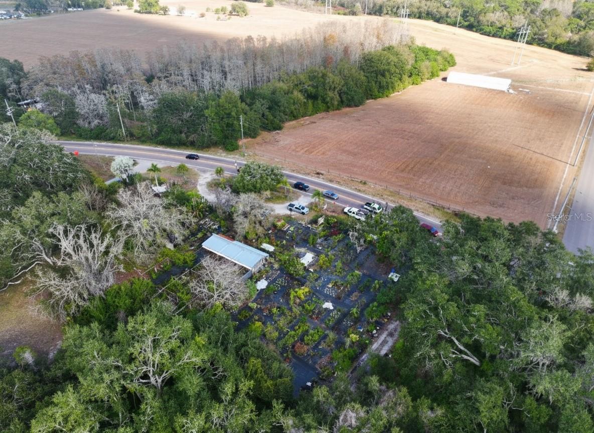 9906 Gunn, Odessa, FL 33556