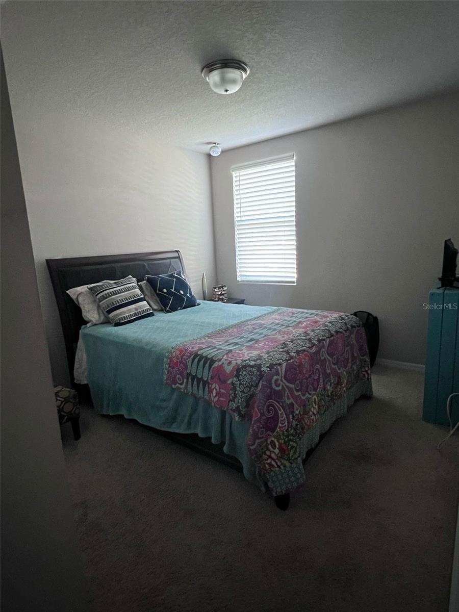 364 Guadlupe, Haines City, FL 33844