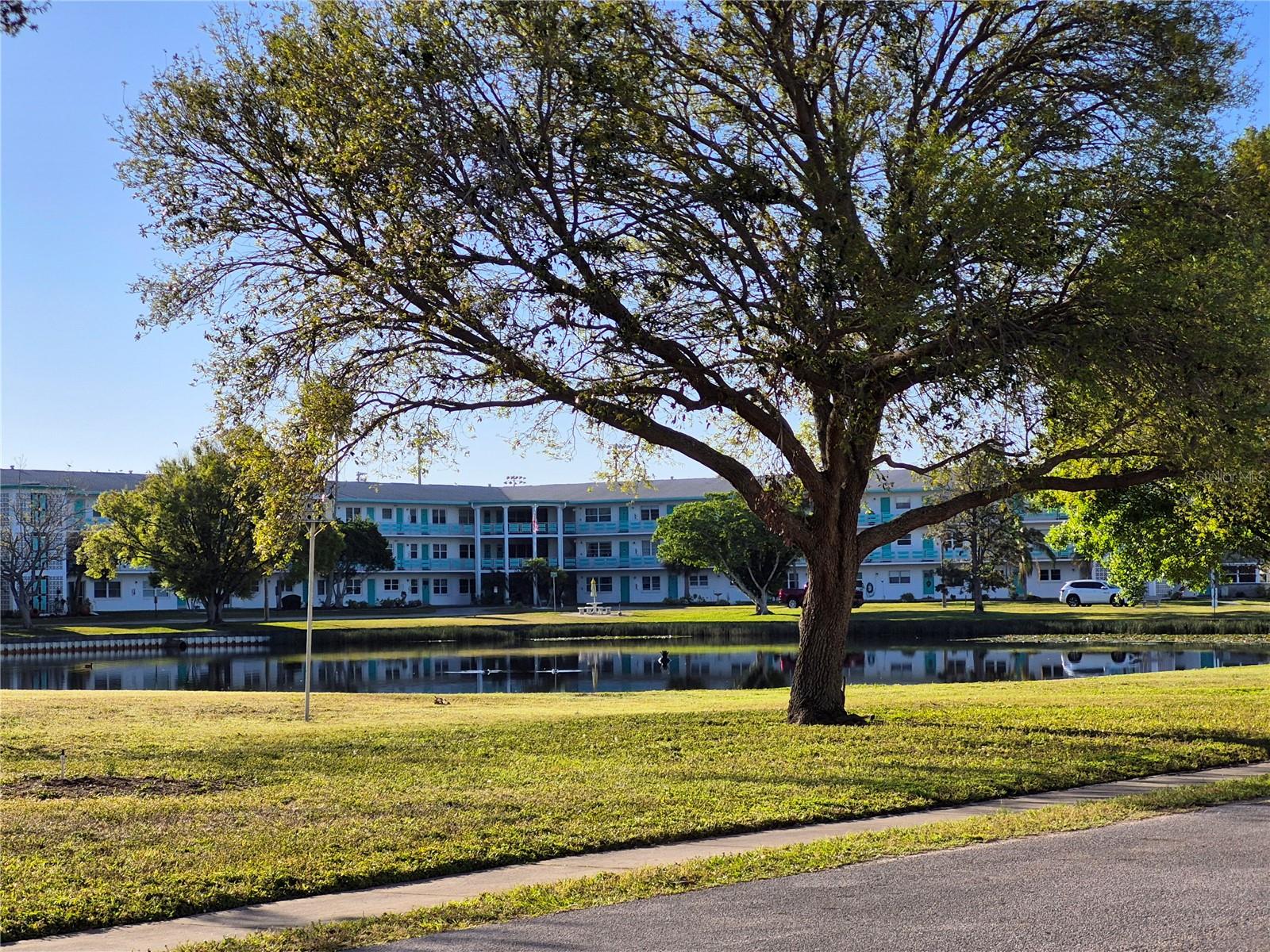 6000 20th Unit 116, St Petersburg, FL 33714