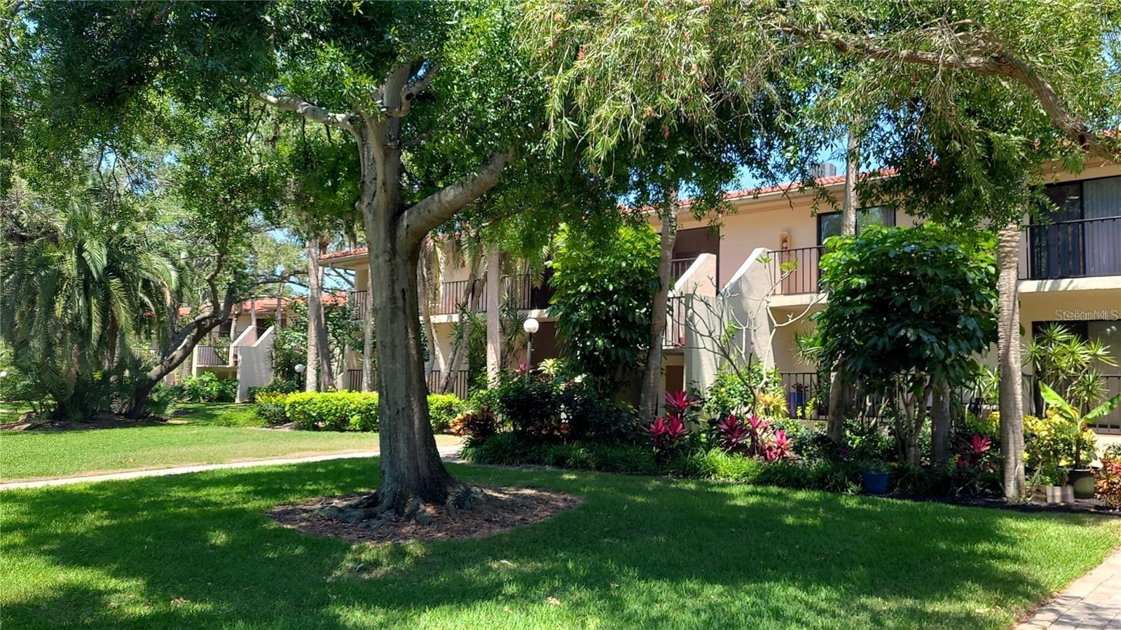 6462 Wild Oak Bay Unit 245, Bradenton, FL 34210