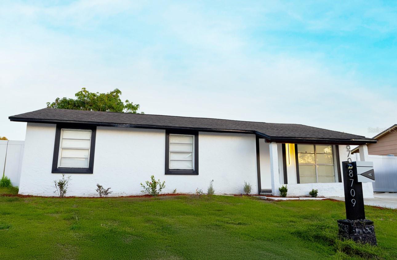 8709 Marlin, Tampa, FL 33634