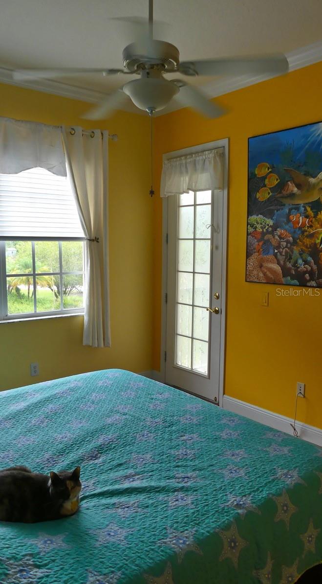 6801 Dali Unit 206, Land O Lakes, FL 34637