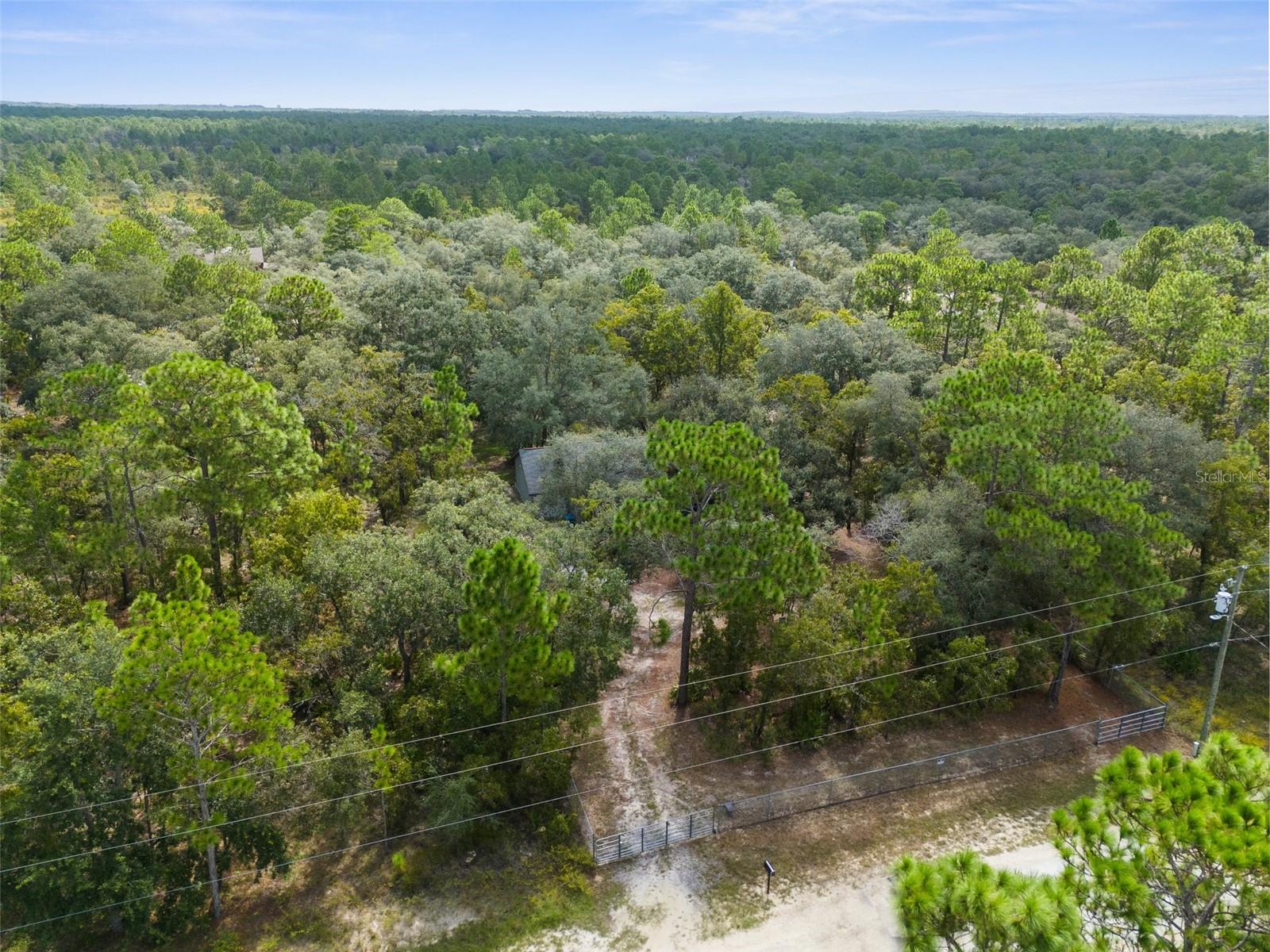 15236 Mottled Owl, Brooksville, FL 34614