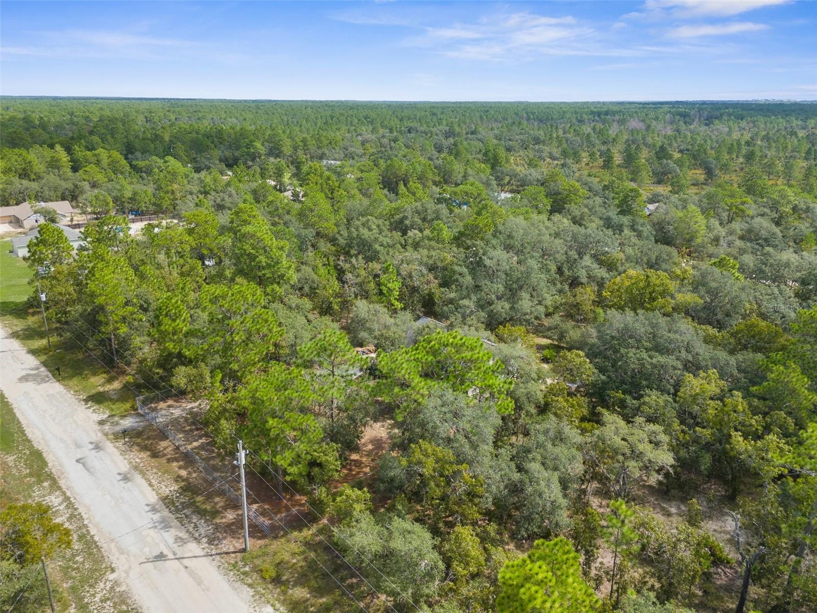 15236 Mottled Owl, Brooksville, FL 34614