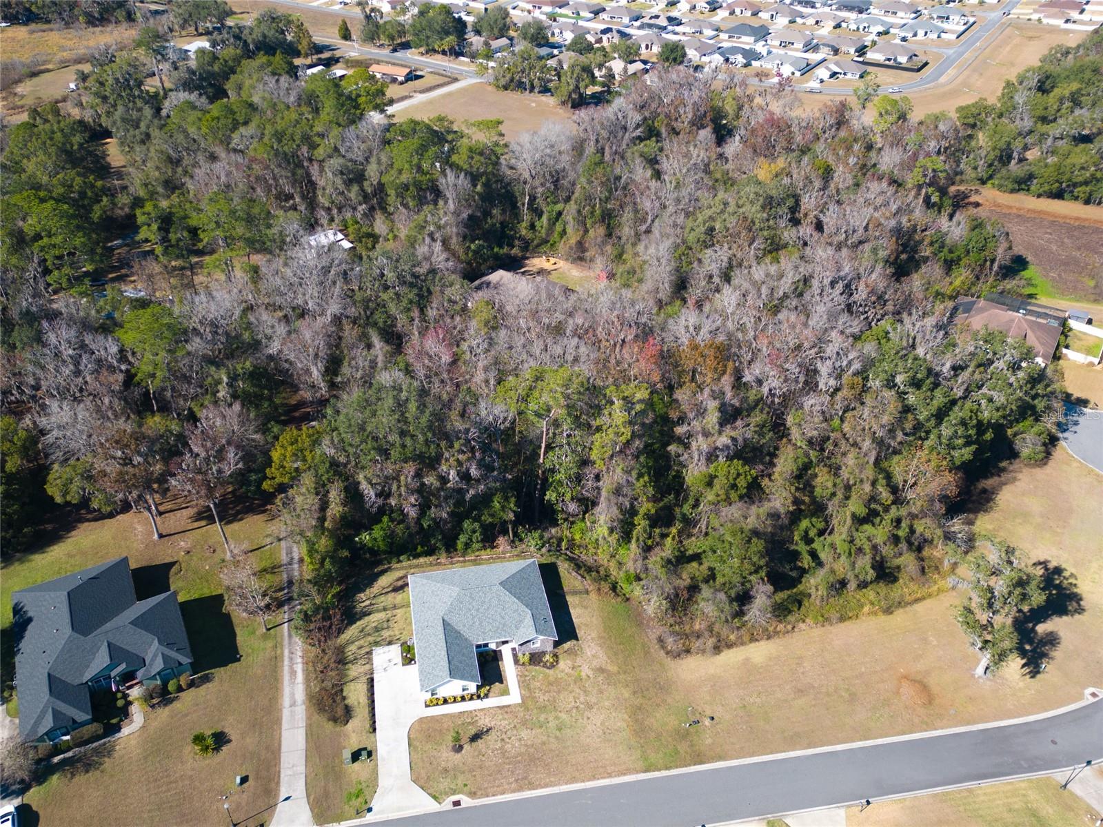 10160 41st, Belleview, FL 34420