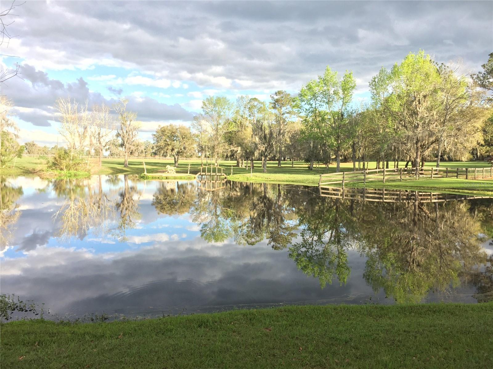 15000 Hwy 318, Williston, FL 32696