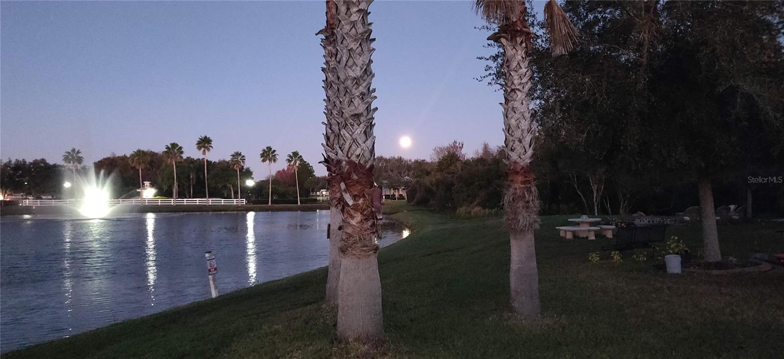 10503 Palm Cove, Tampa, FL 33647