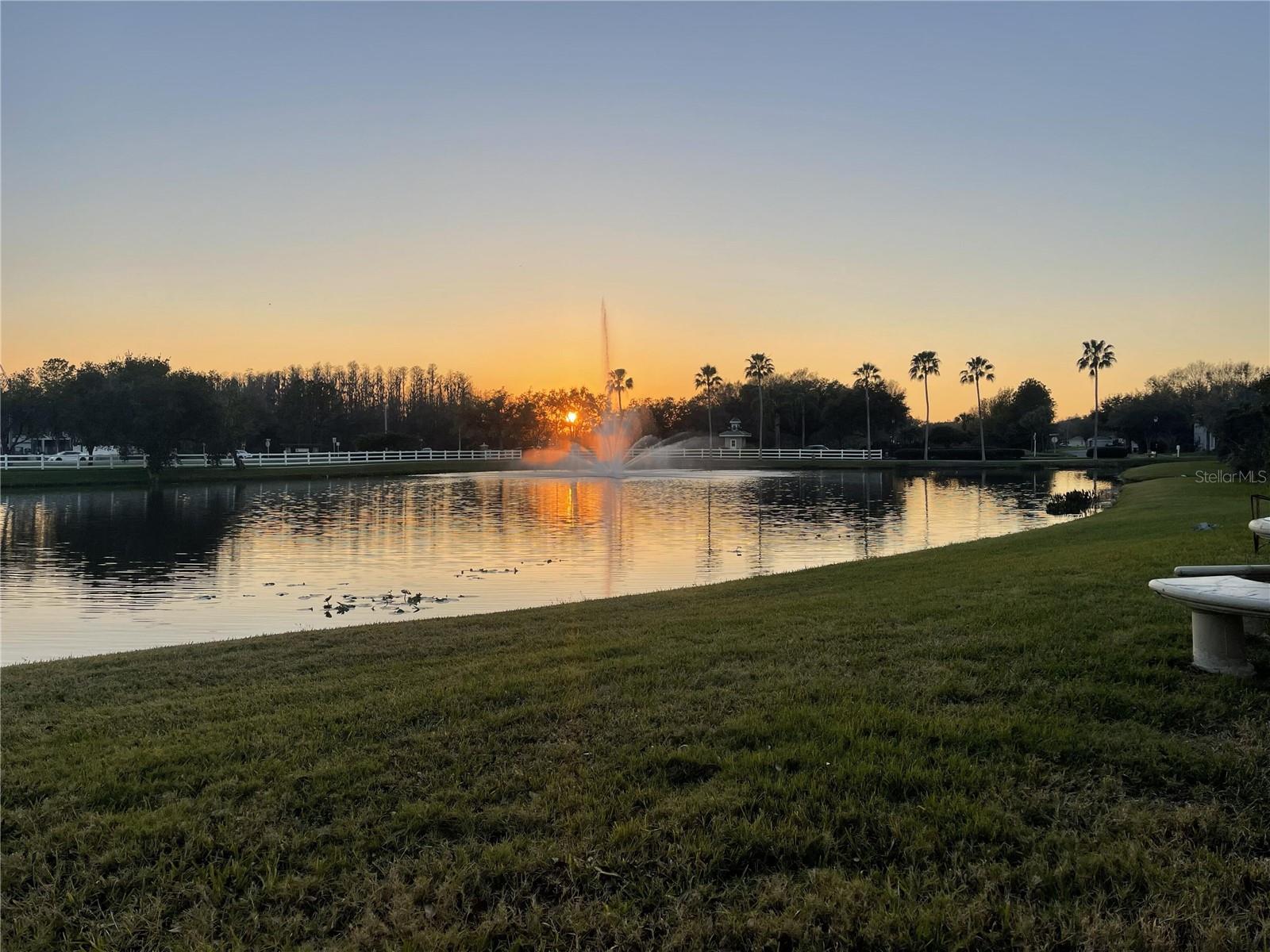 10503 Palm Cove, Tampa, FL 33647