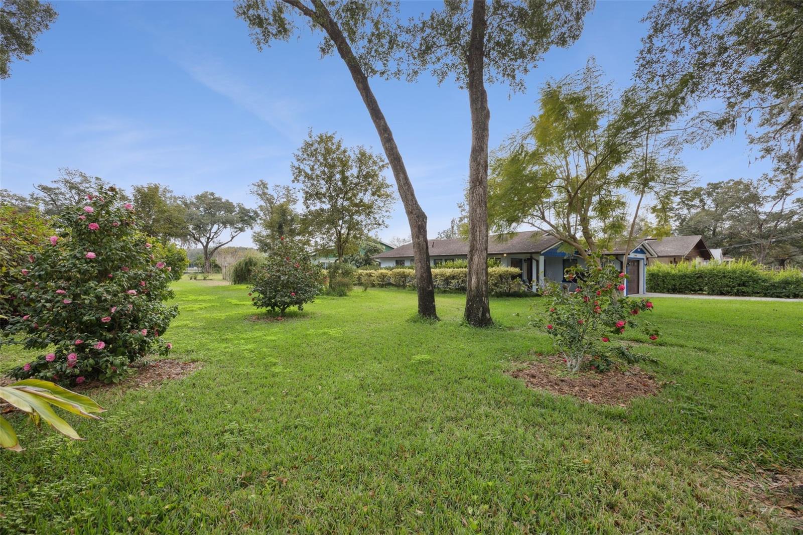 30904 Deal, Sorrento, FL 32776