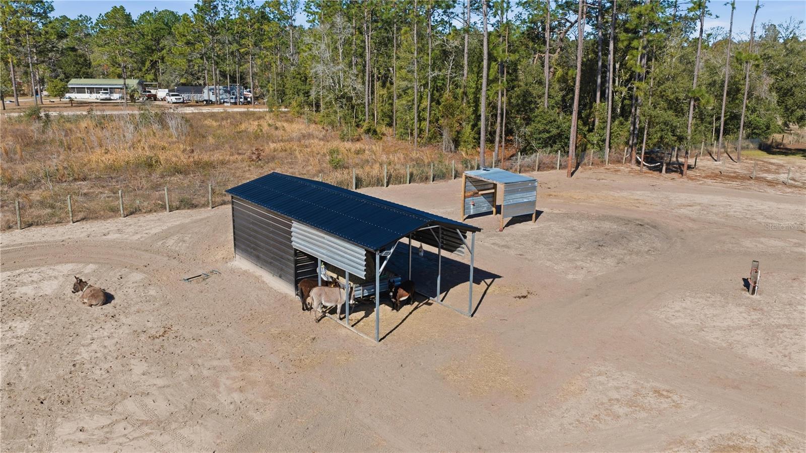 13920 6th, Williston, FL 32696