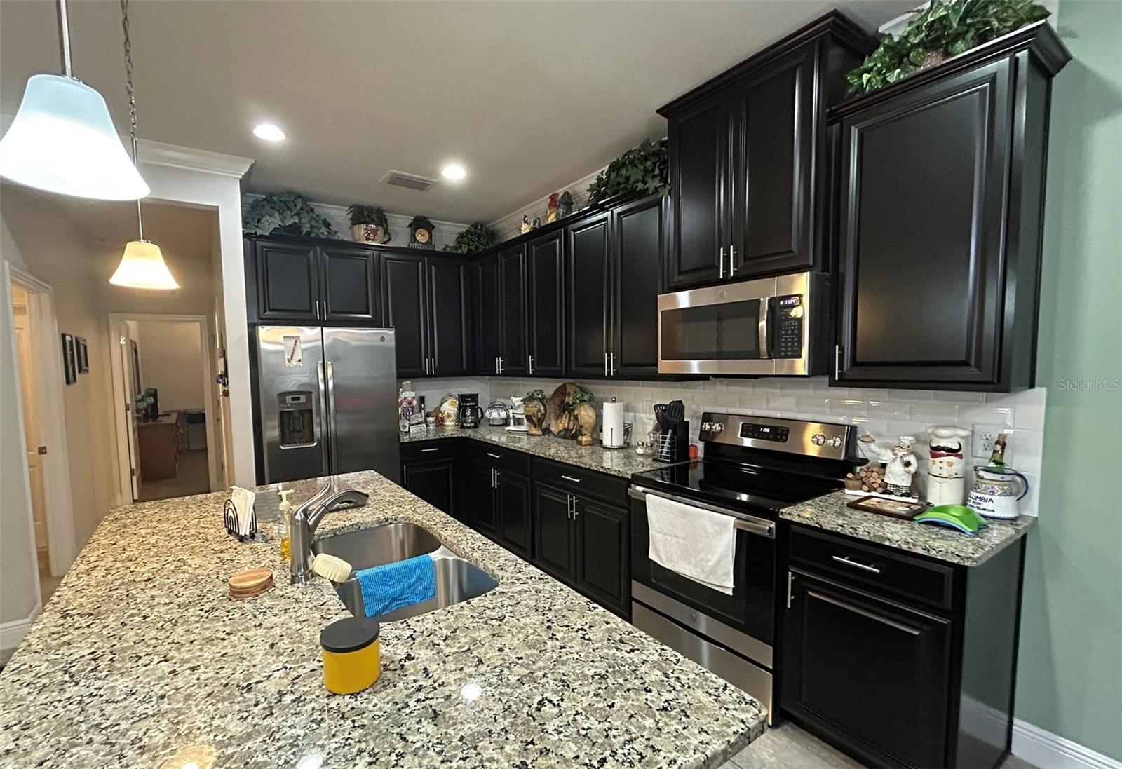 10647 Heron Hideaway, Land O Lakes, FL 34638