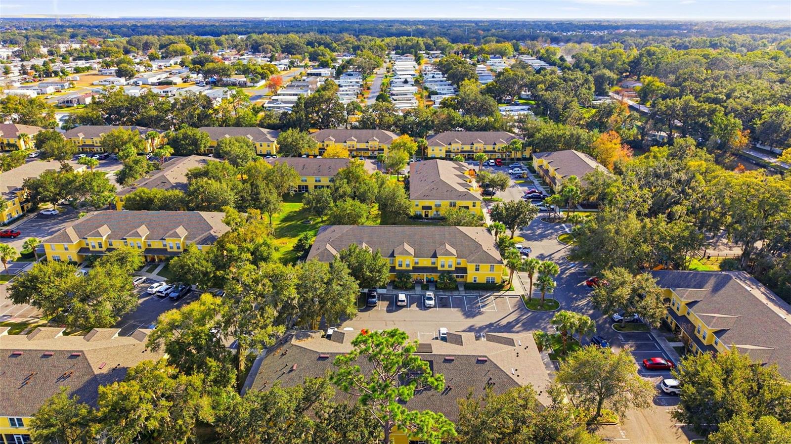 37548 Daliha, Zephyrhills, FL 33542