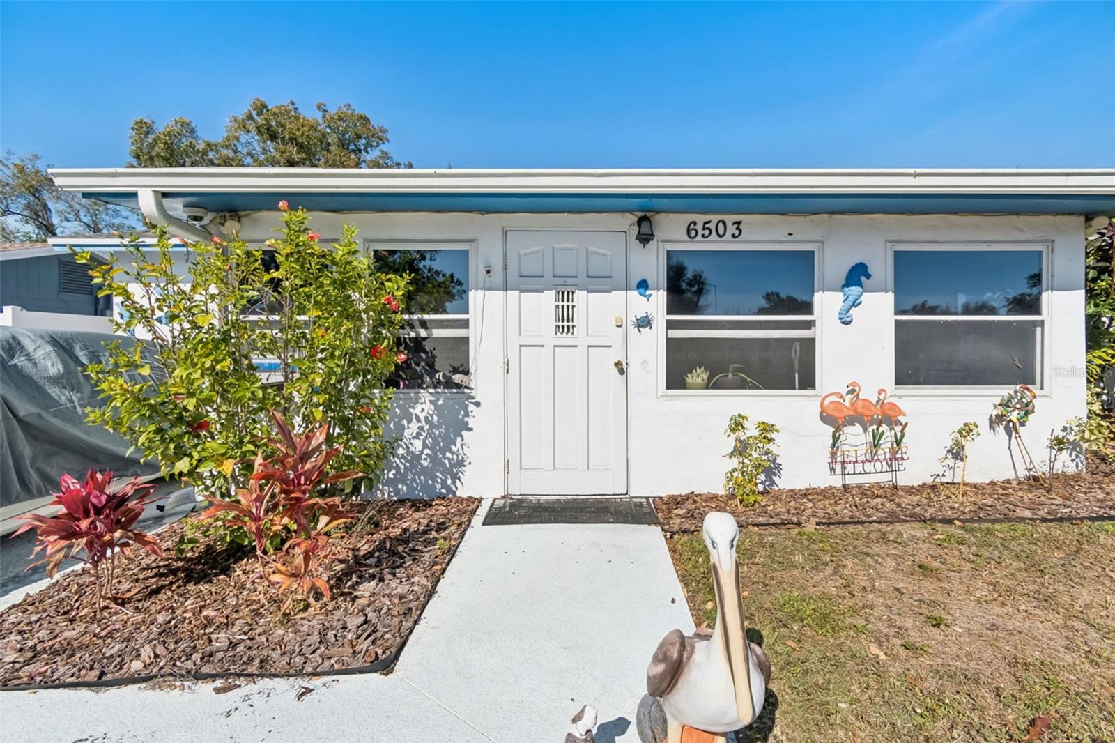 6503 Amundson, Tampa, FL 33634
