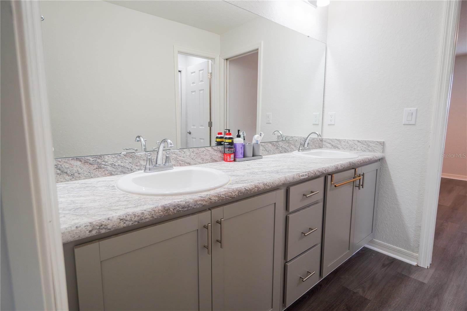 12288 Cypress Branch, Riverview, FL 33579