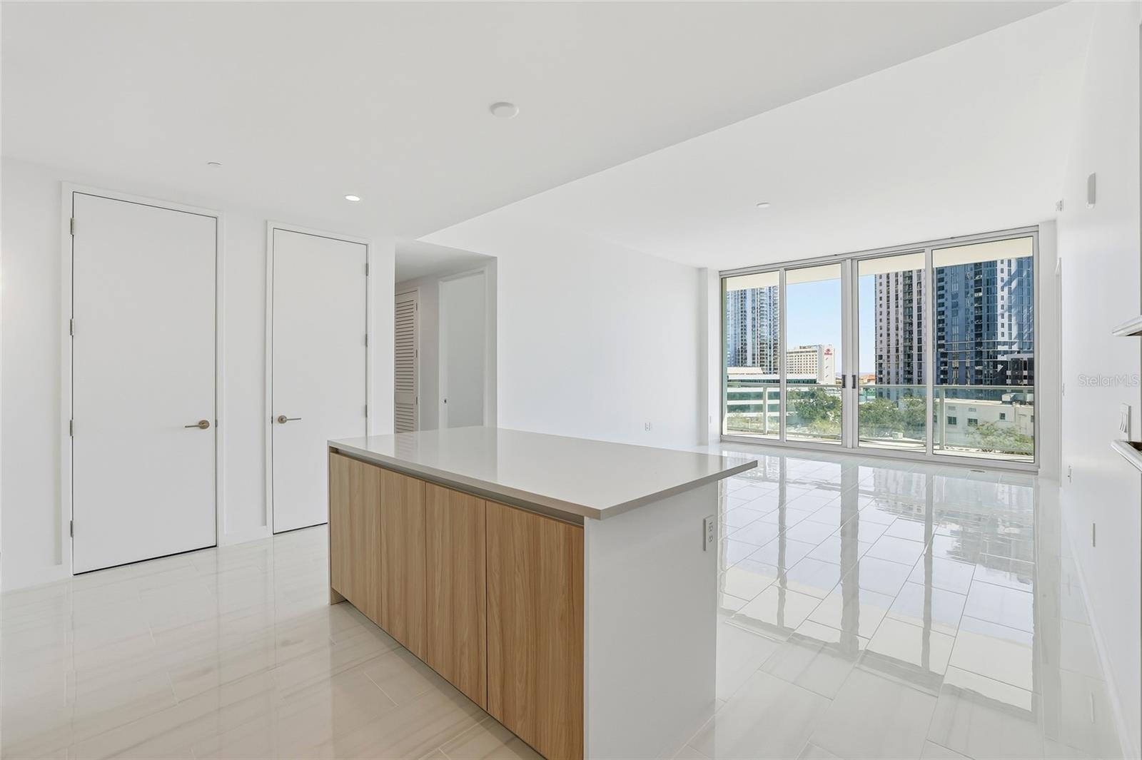 400 Central Unit 505, St Petersburg, FL 33701