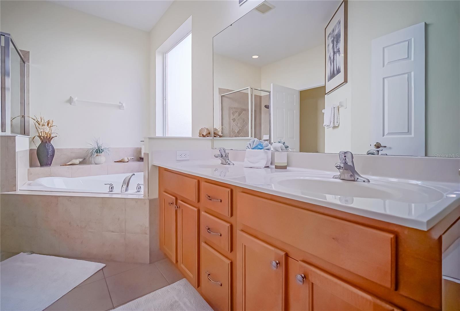 1009 Orange Cosmos, Davenport, FL 33837
