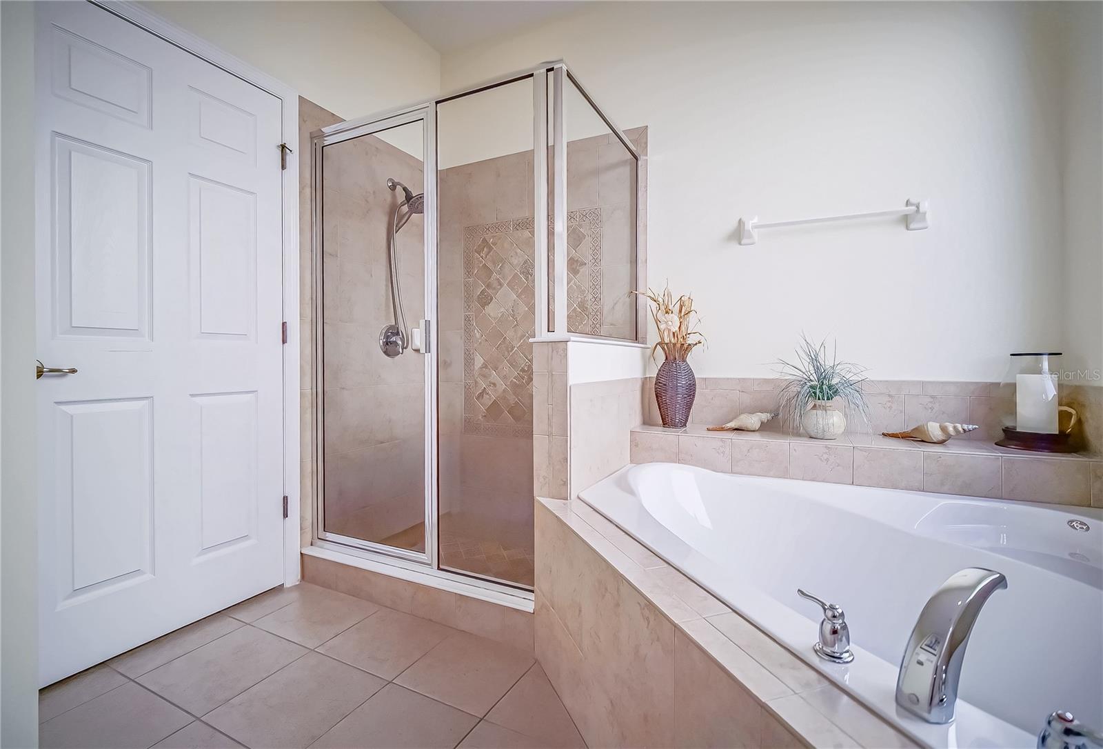 1009 Orange Cosmos, Davenport, FL 33837