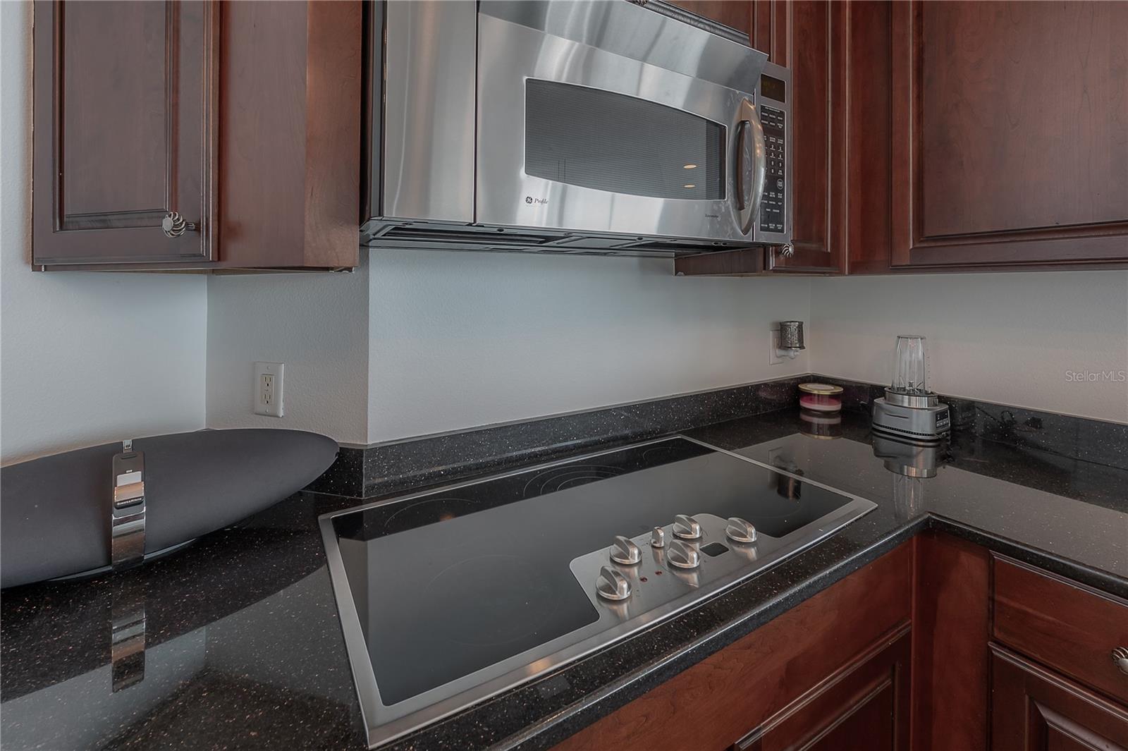 449 12th Unit 2701, Tampa, FL 33602