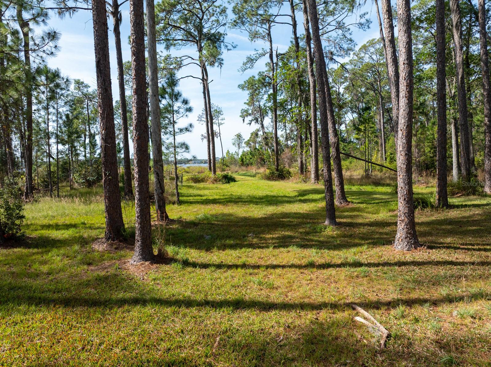 8822 Winter Garden Vineland, Orlando, FL 32836
