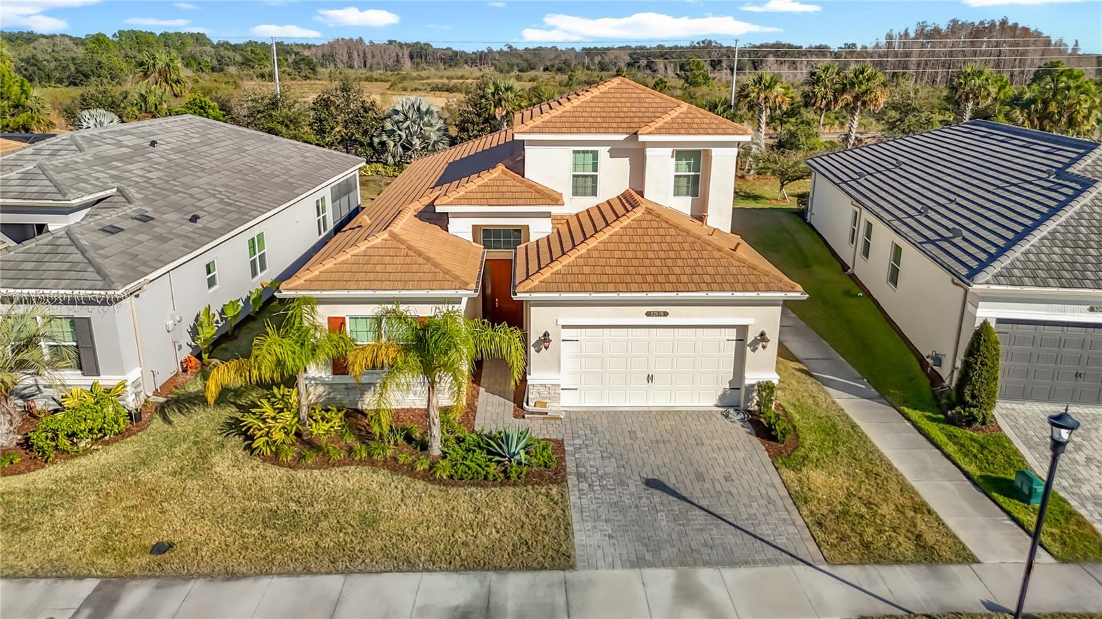 32676 Tree of Life, Wesley Chapel, FL 33543