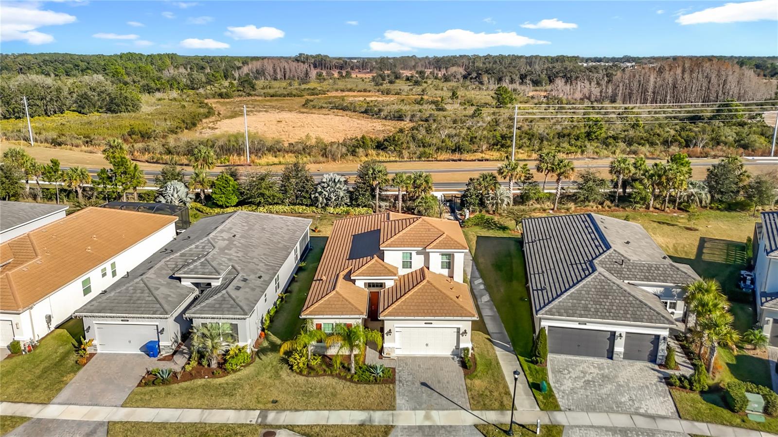 32676 Tree of Life, Wesley Chapel, FL 33543