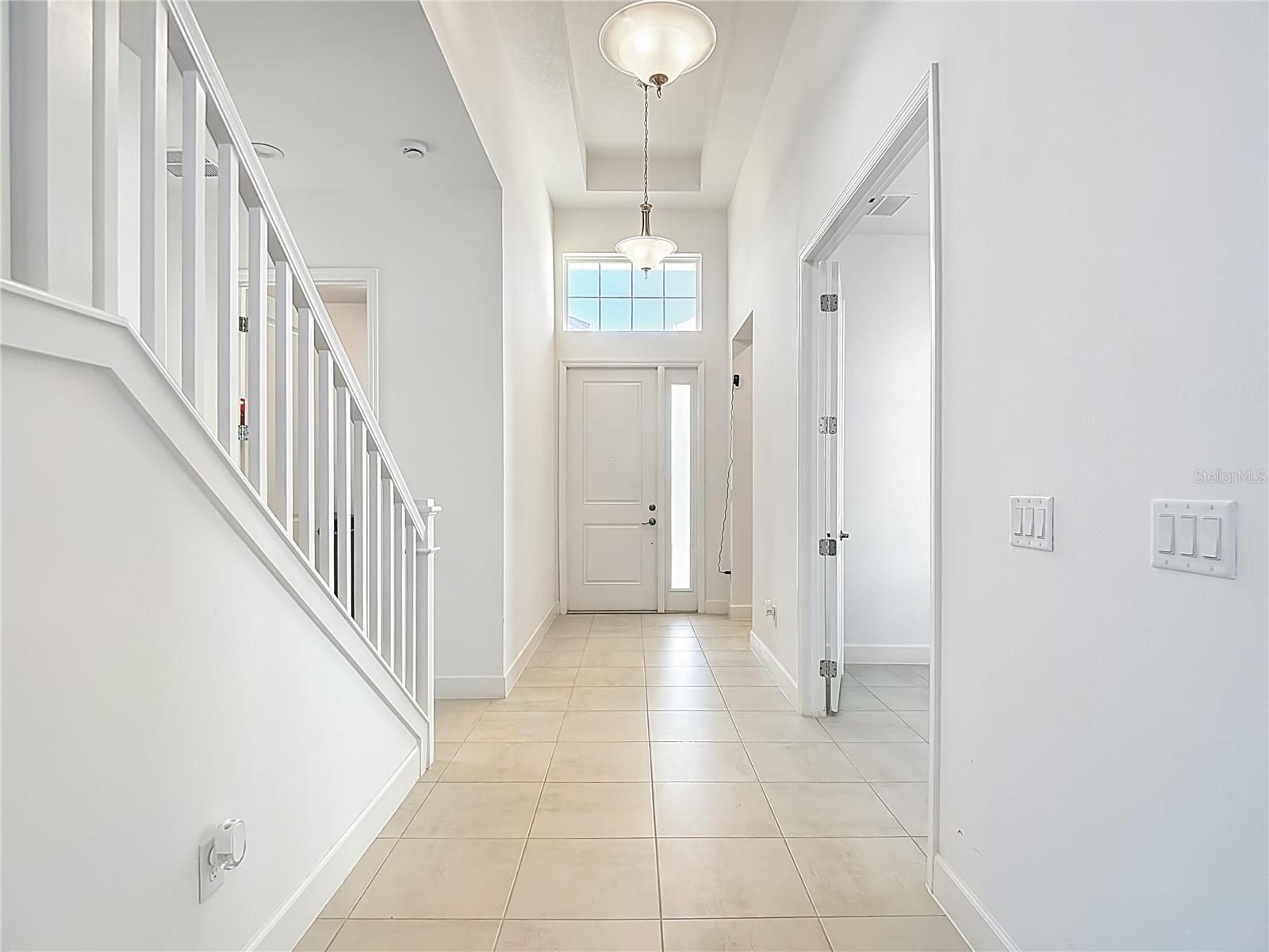 32676 Tree of Life, Wesley Chapel, FL 33543