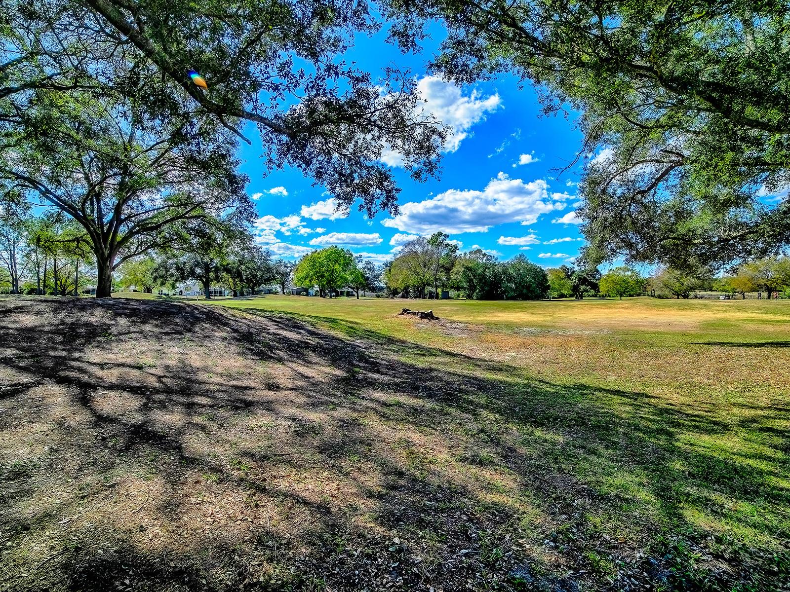 24239 Belle Mede, Leesburg, FL 34748
