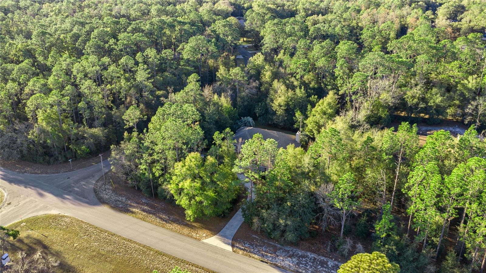 20698 93rd Lane, Dunnellon, FL 34431