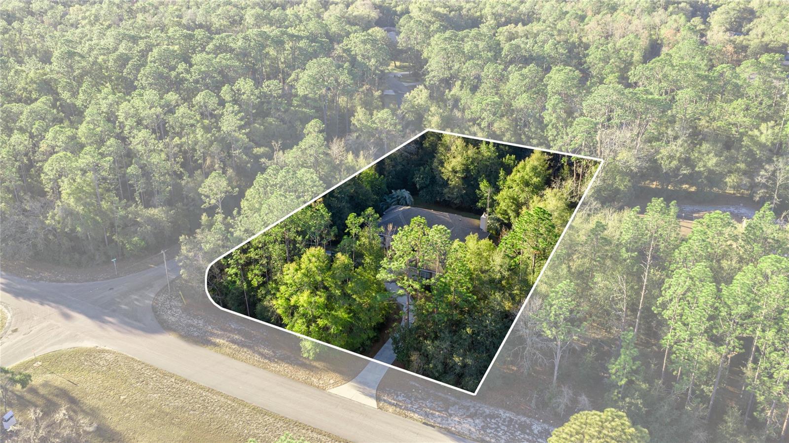 20698 93rd Lane, Dunnellon, FL 34431