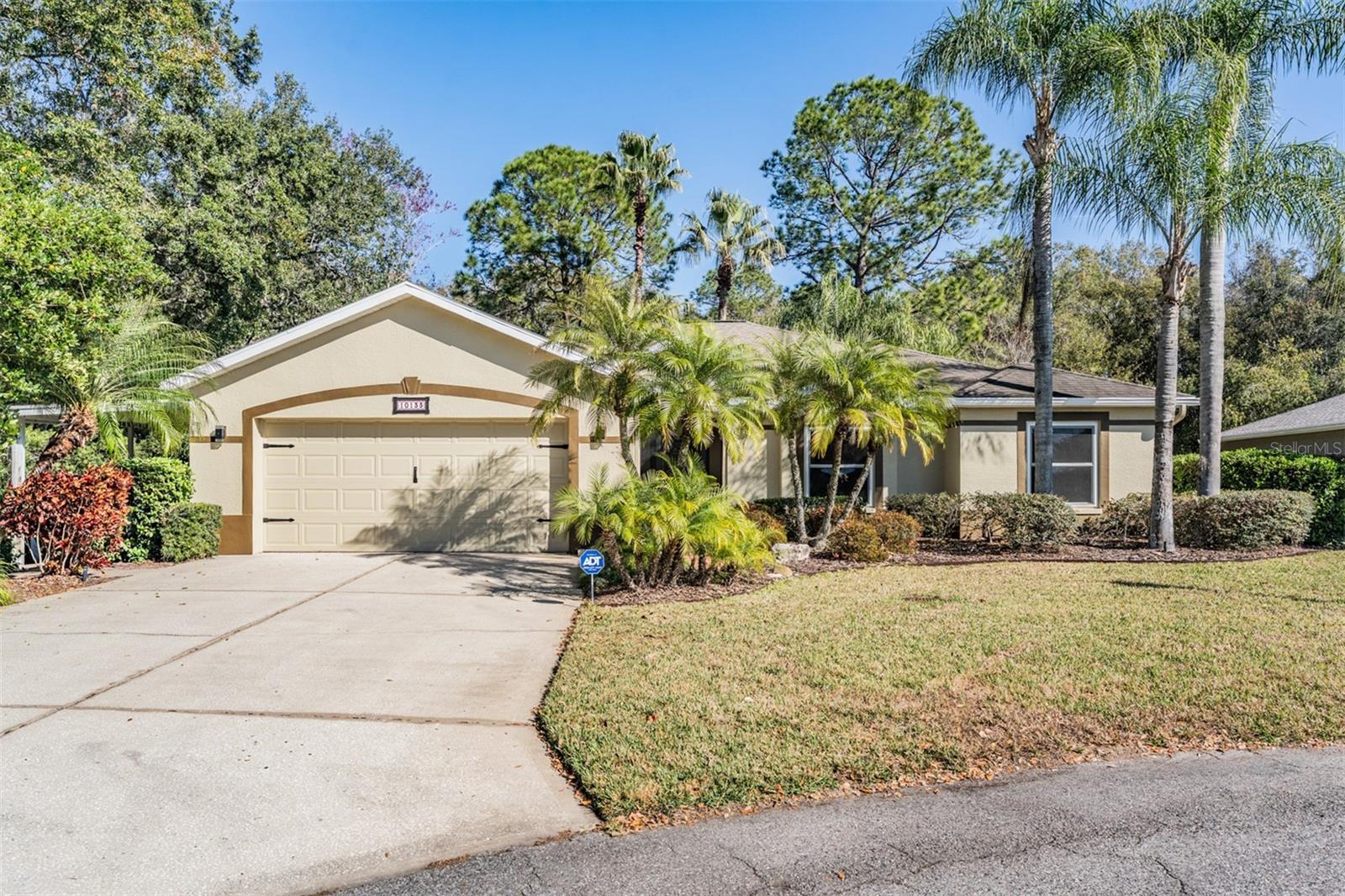 10133 Collar, San Antonio, FL 33576