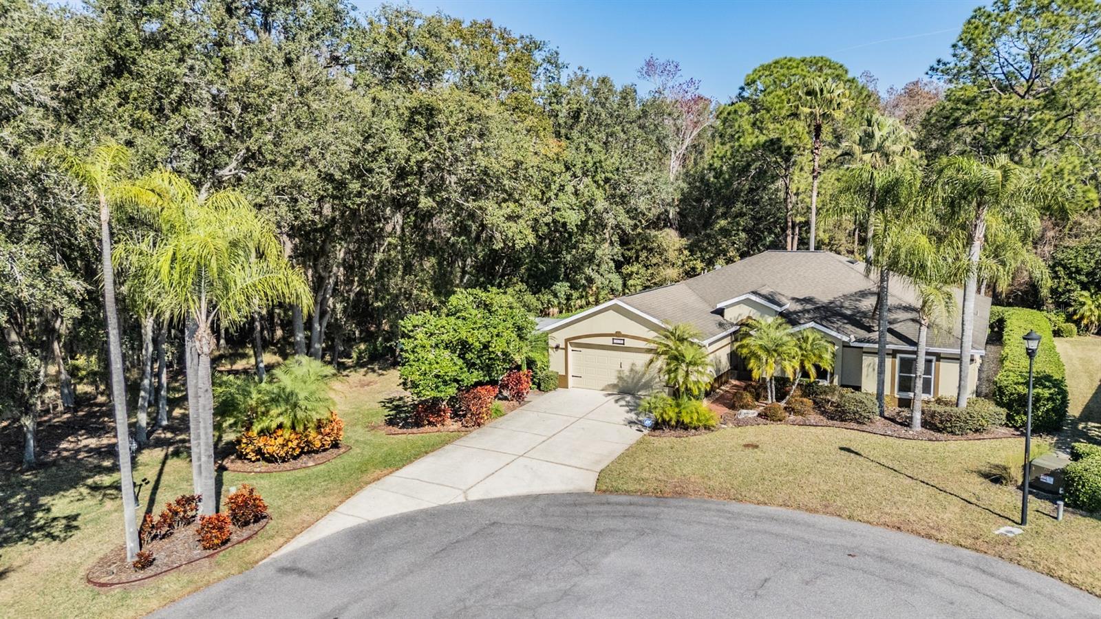 10133 Collar, San Antonio, FL 33576