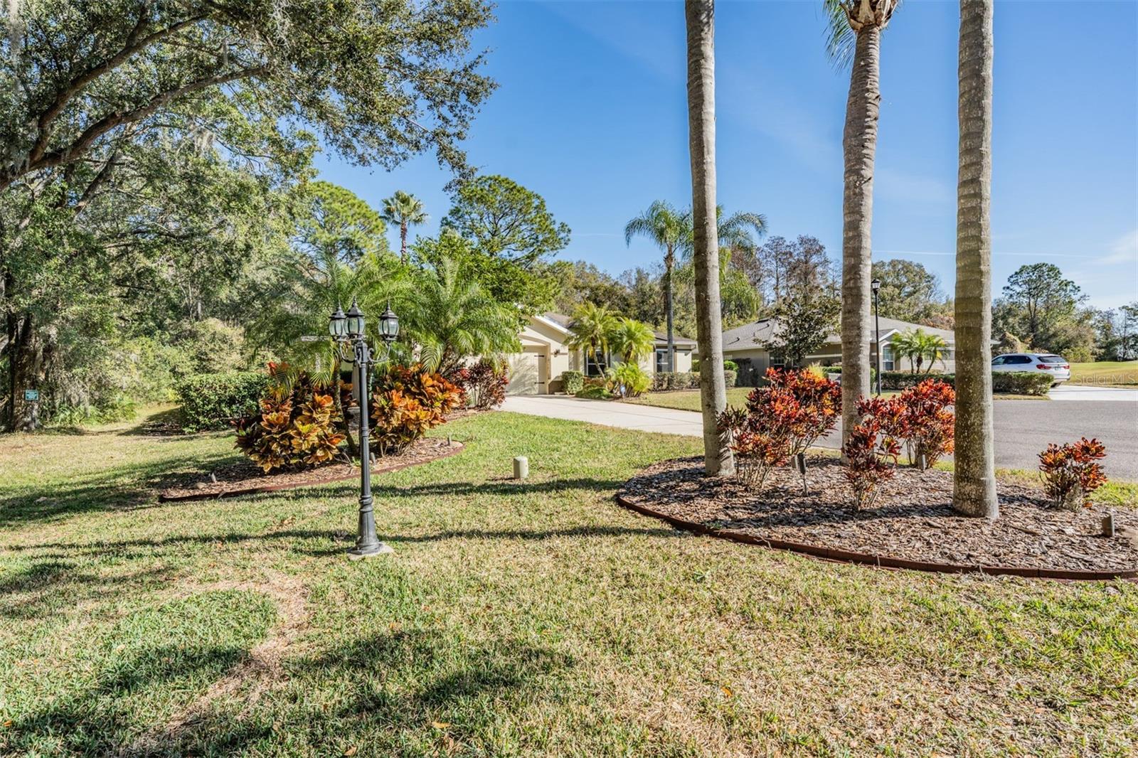 10133 Collar, San Antonio, FL 33576