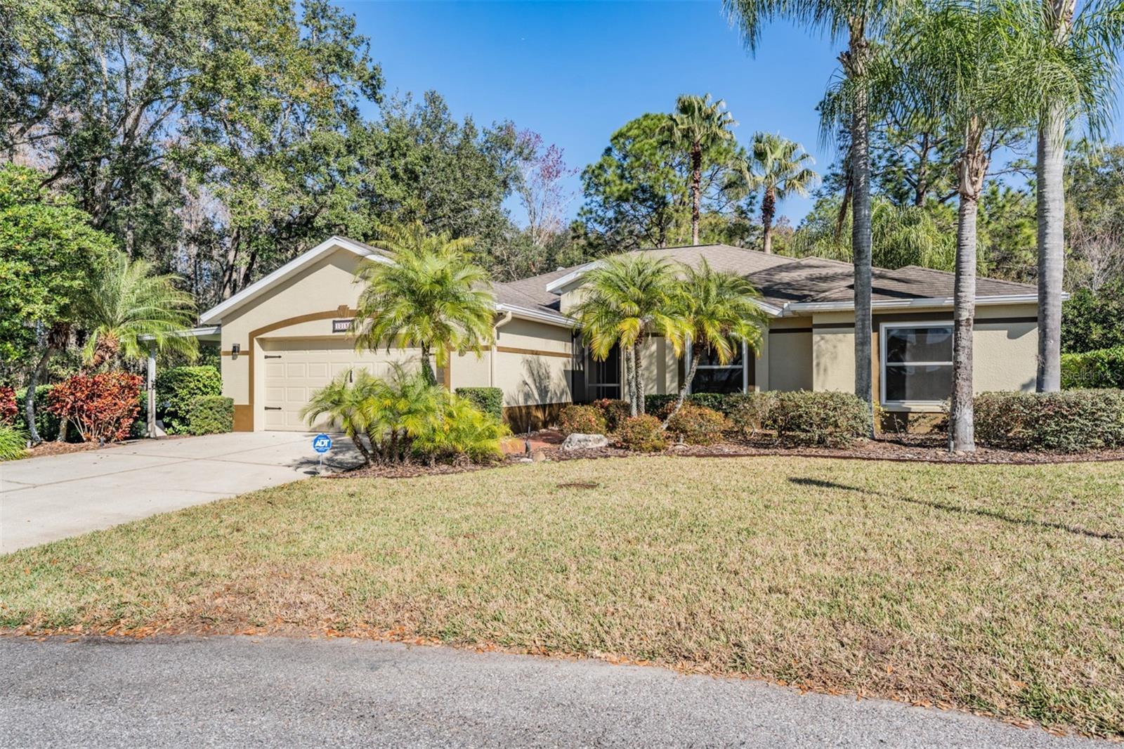 10133 Collar, San Antonio, FL 33576
