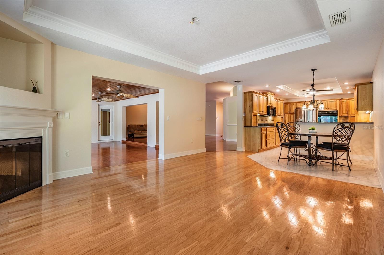 10133 Collar, San Antonio, FL 33576