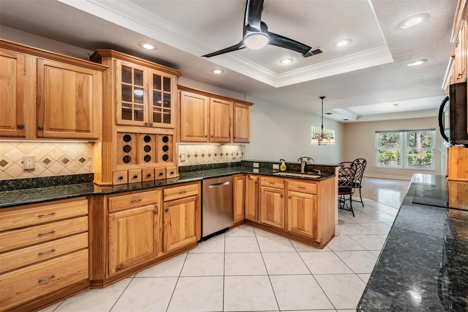 10133 Collar, San Antonio, FL 33576