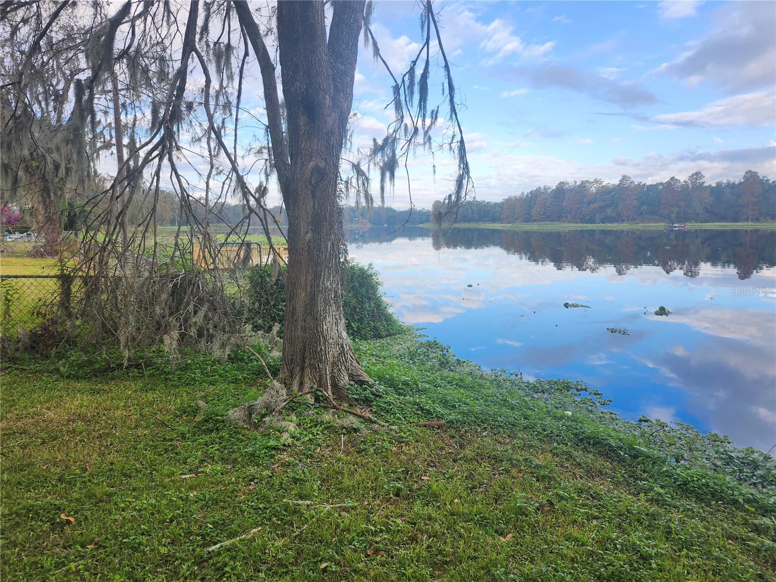 3606 River Grove, Tampa, FL 33610