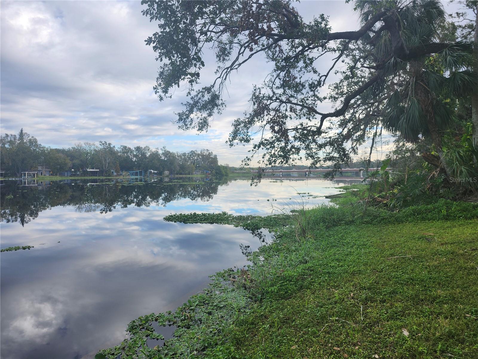 3606 River Grove, Tampa, FL 33610