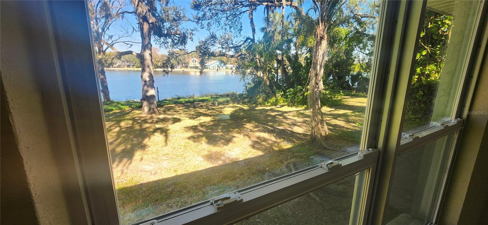 3606 River Grove, Tampa, FL 33610